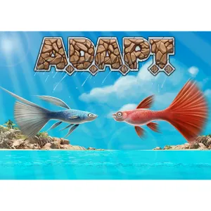 A.D.A.P.T. Polyhedral Dice and Card Strategy Game by Gate Keeper Games, Ages 14 , 2-3 Players