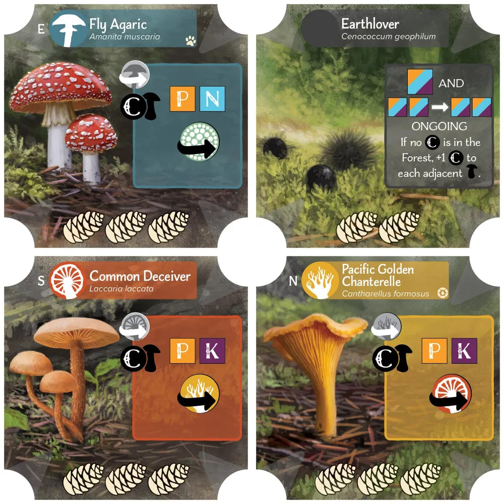AEG: Undergrove - Forest Fungi Strategy Board Game