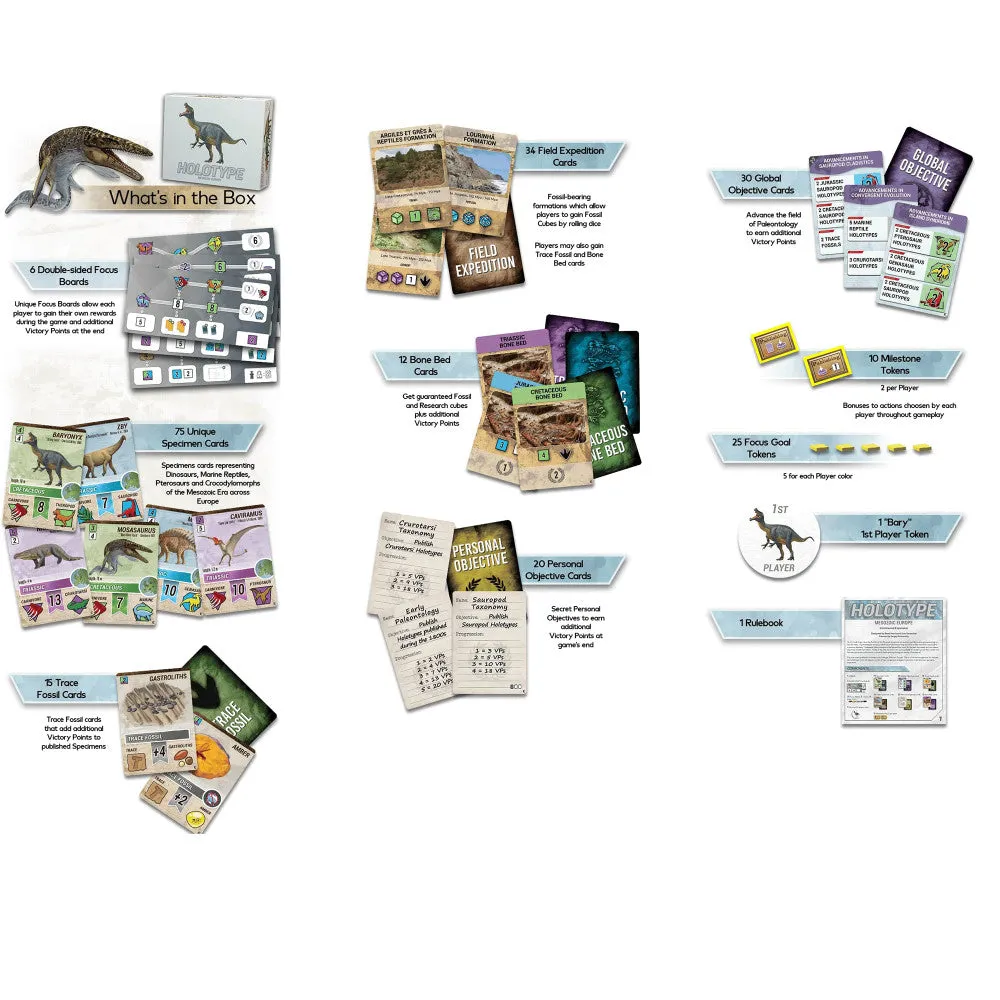 Brexwerx Games: Holotype - Mesozoic Europe Expansion - Paleontology Strategy Board Game