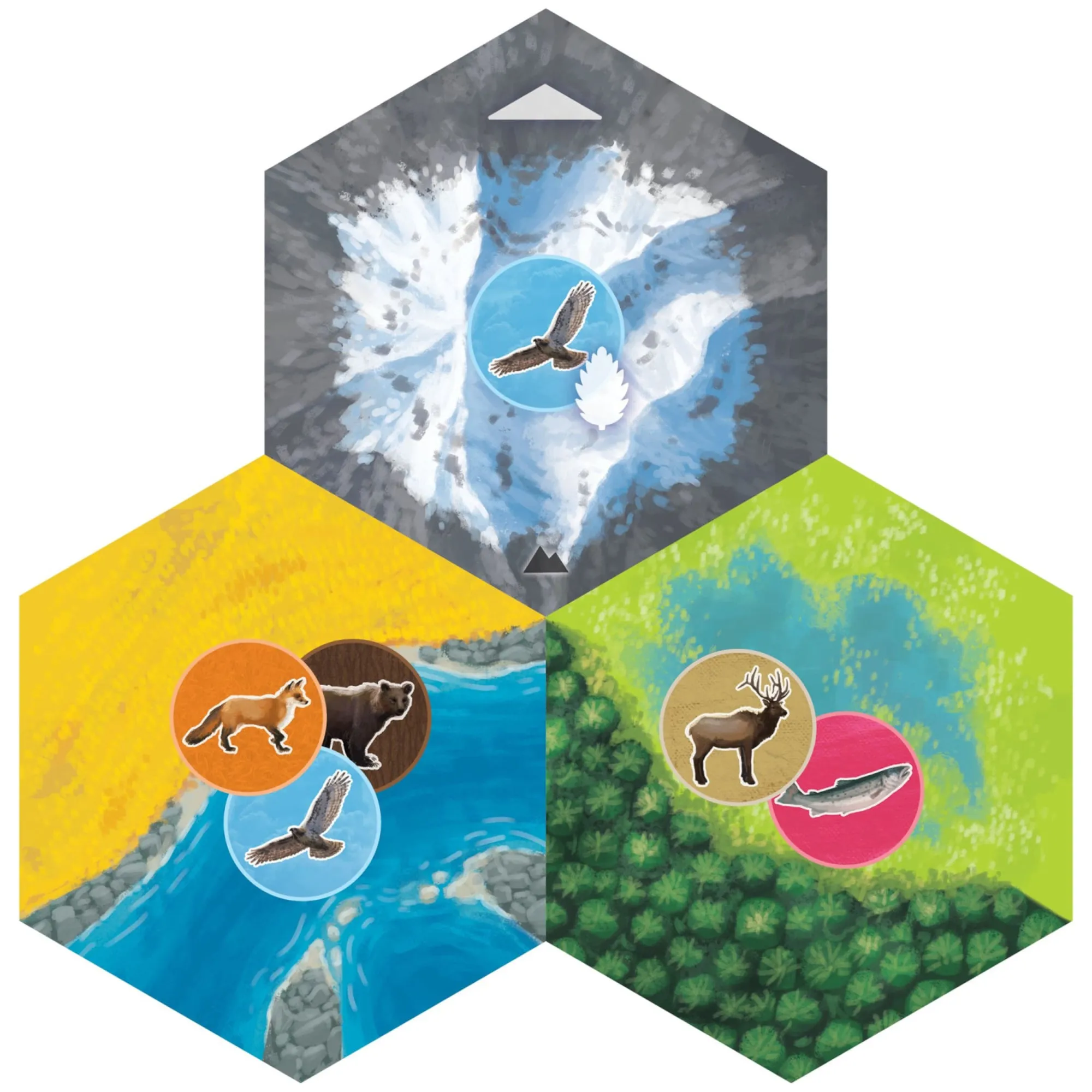 Cascadia Landmarks Expansion Board Game - Puzzle & Tile Placement