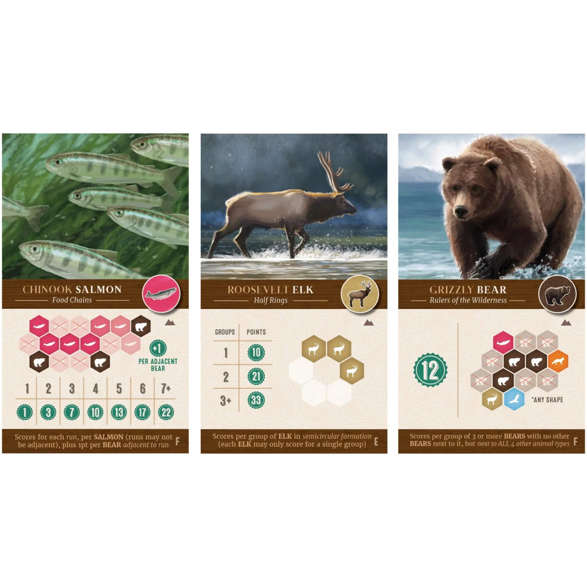 Cascadia Landmarks Expansion Board Game - Puzzle & Tile Placement