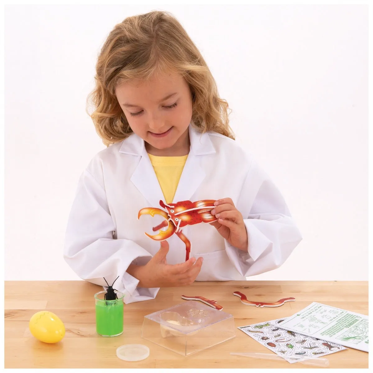 GALT 1105533 Horrible Science - Ugly Bugs Wise - Kids Toys