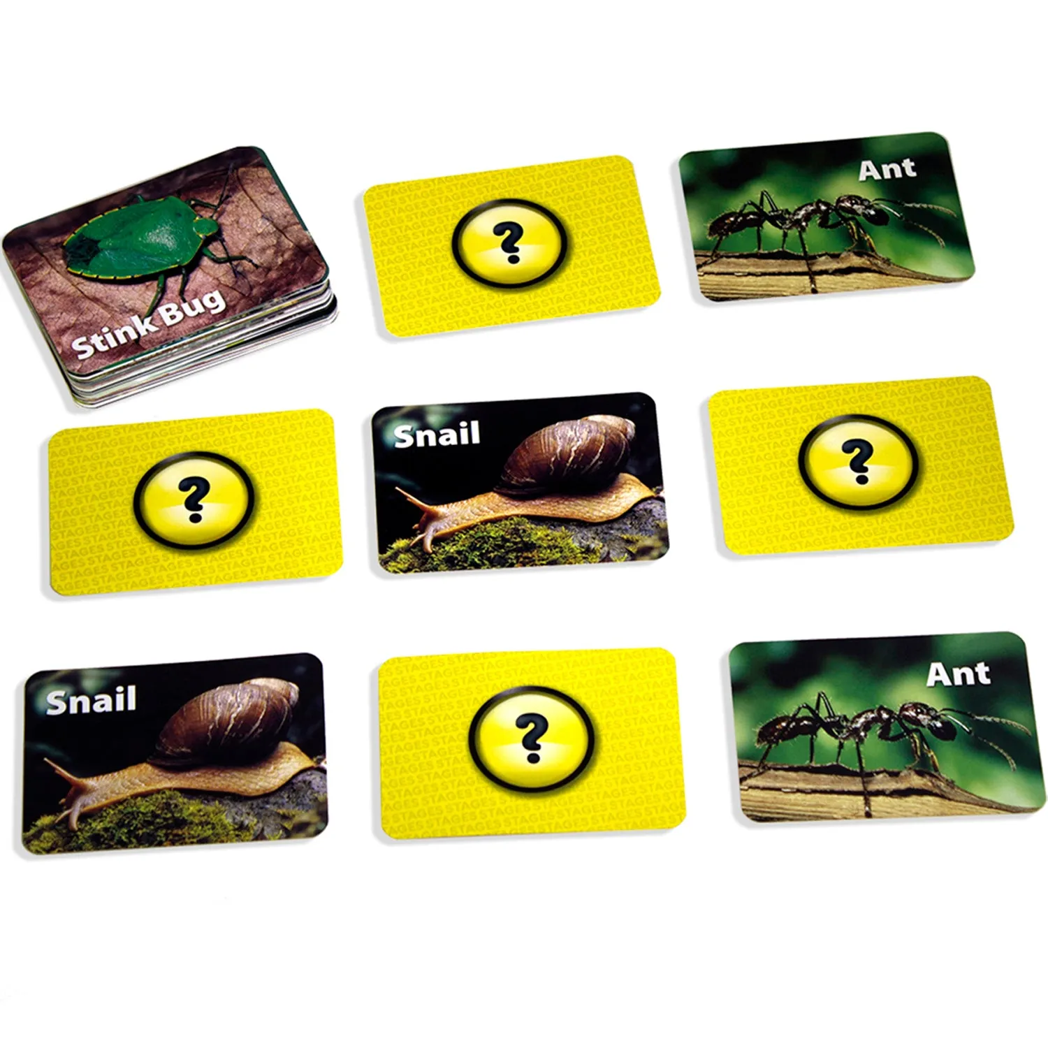 Stages Learning Materials - Memory Matching Game - Insects & Bugs - 3 Pack